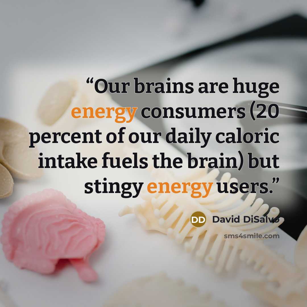 “Our brains are huge energy consumers (20 percent of our daily caloric intake fuels the brain) but stingy energy users.” quote by David DiSalvo