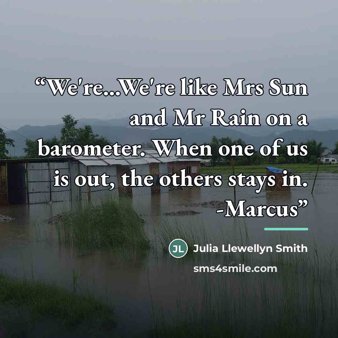 “We're...We're like Mrs Sun and Mr Rain on a barometer. When one of us is out, the others stays in. -Marcus” quote by Julia Llewellyn Smith