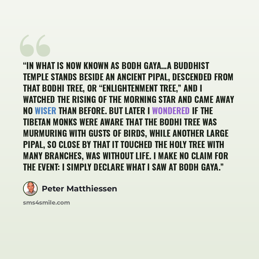 “In what is now known as Bodh Gaya…a Buddhist temple stands beside an ancient pipal, descended from that bodhi tree, or “enlightenment tree,” and I watched the rising of the morning star and came away no wiser than before. But later I wondered if the Tibetan monks were aware that the Bodhi tree was…” quote by Peter Matthiessen