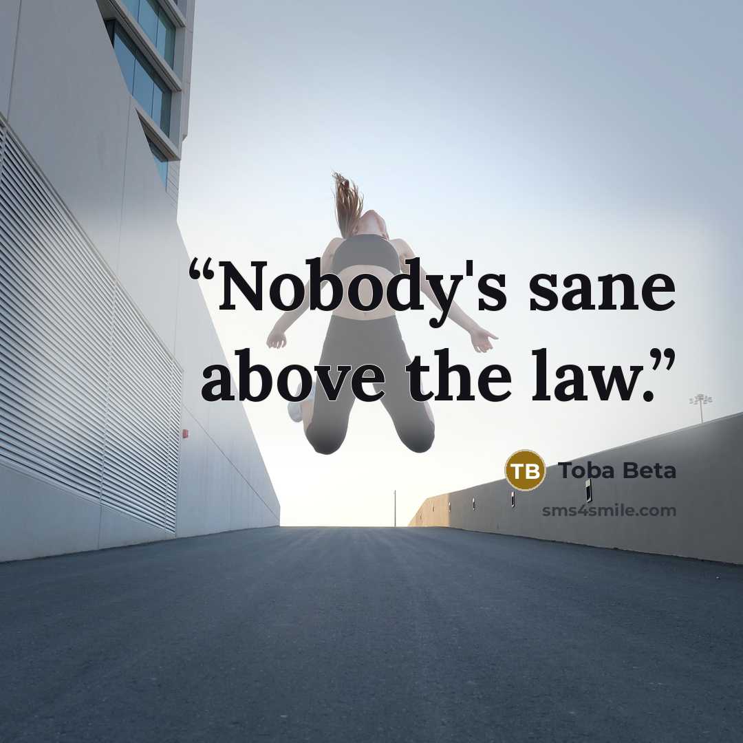 “Nobody's sane above the law.” quote by Toba Beta