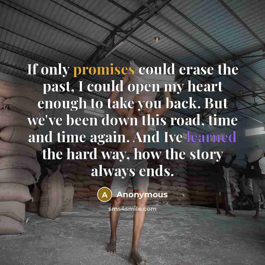 “If only promises could erase the past, I could open my heart enough to take you back. But we've been down this road, time and time again. And Ive learned the hard way, how the story always ends.” quote by Anonymous