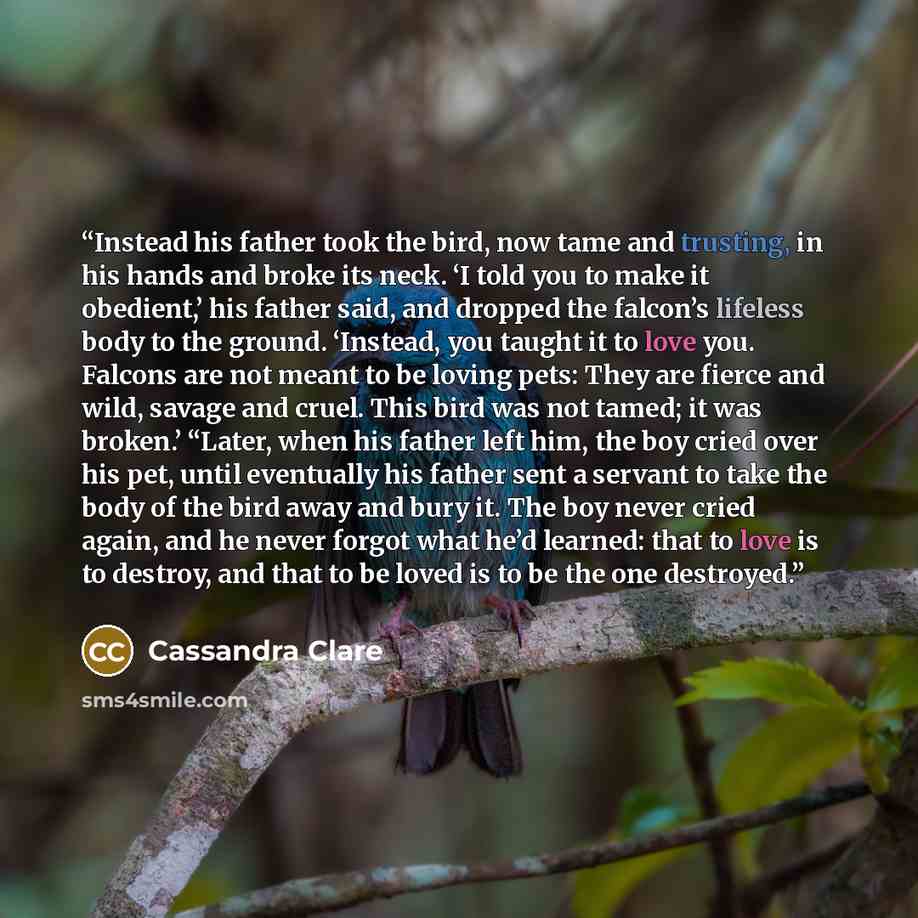 “Instead his father took the bird, now tame and trusting, in his hands and broke its neck. ‘I told you to make it obedient,’ his father said, and dropped the falcon’s lifeless body to the ground. ‘Instead, you taught it to love you. Falcons are not meant to be loving pets: They are fierce and wild…” quote by Cassandra Clare