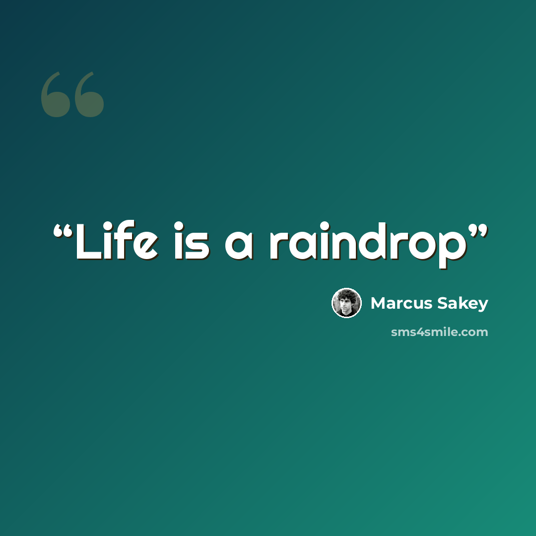 “Life is a raindrop” quote by Marcus Sakey