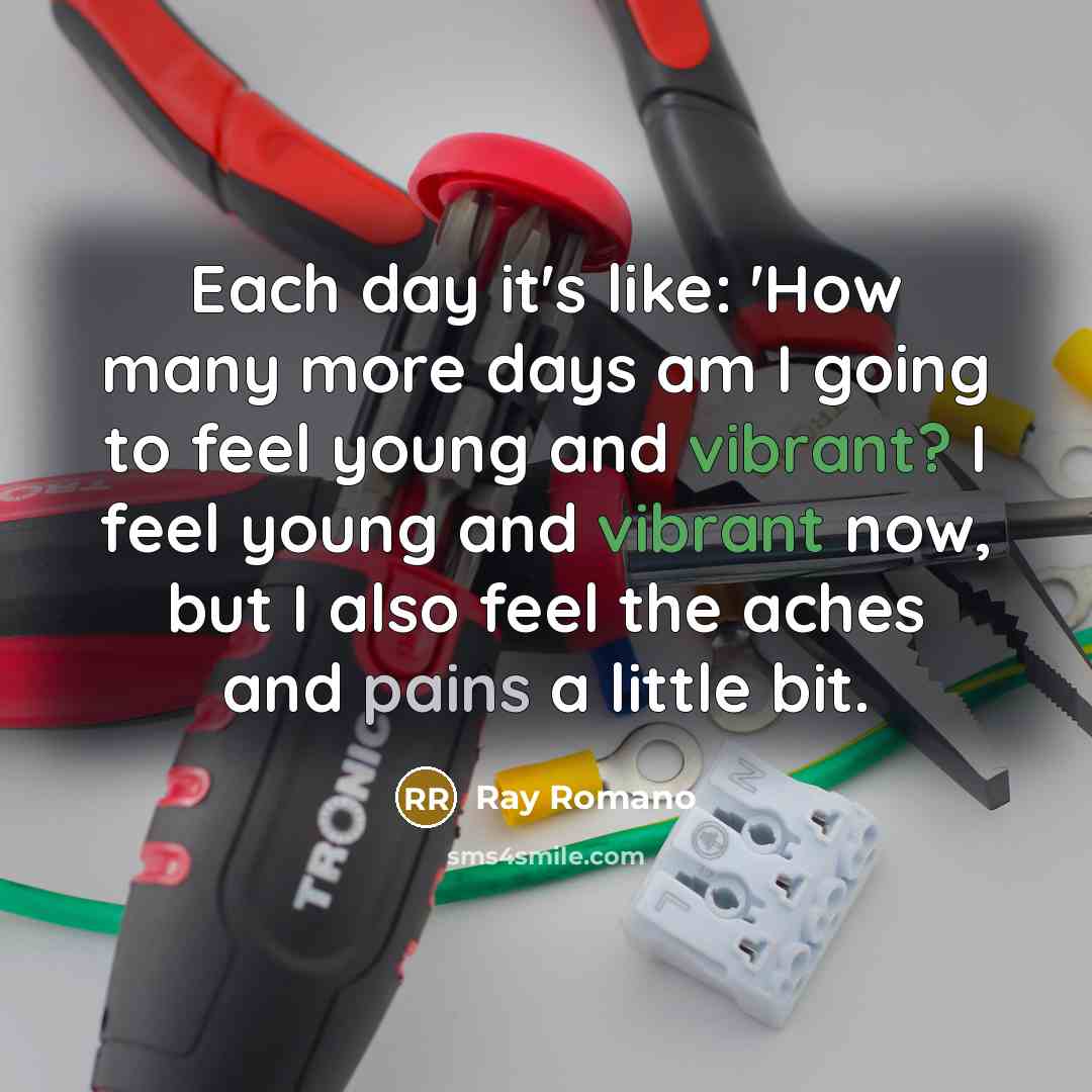 “Each day it's like: 'How many more days am I going to feel young and vibrant? I feel young and vibrant now, but I also feel the aches and pains a little bit.” quote by Ray Romano