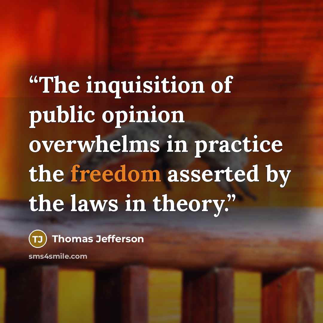 “The inquisition of public opinion overwhelms in practice the freedom asserted by the laws in theory.” quote by Thomas Jefferson