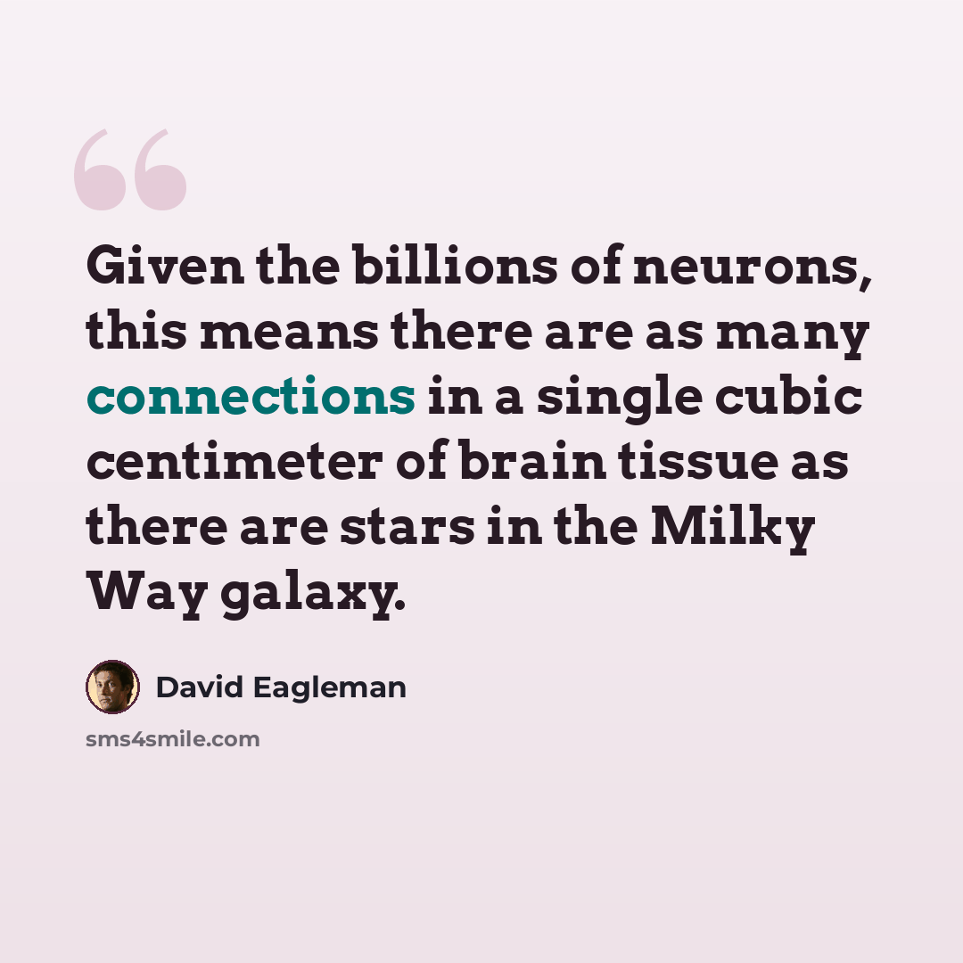 “Given the billions of neurons, this means there are as many connections in a single cubic centimeter of brain tissue as there are stars in the Milky Way galaxy.” quote by David Eagleman