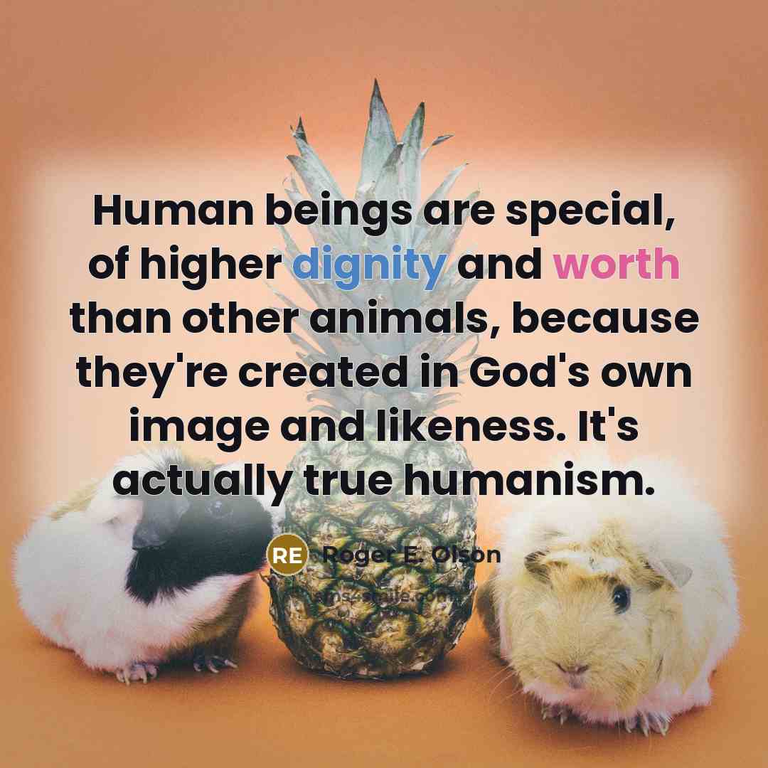 “Human beings are special, of higher dignity and worth than other animals, because they're created in God's own image and likeness. It's actually true humanism.” quote by Roger E. Olson