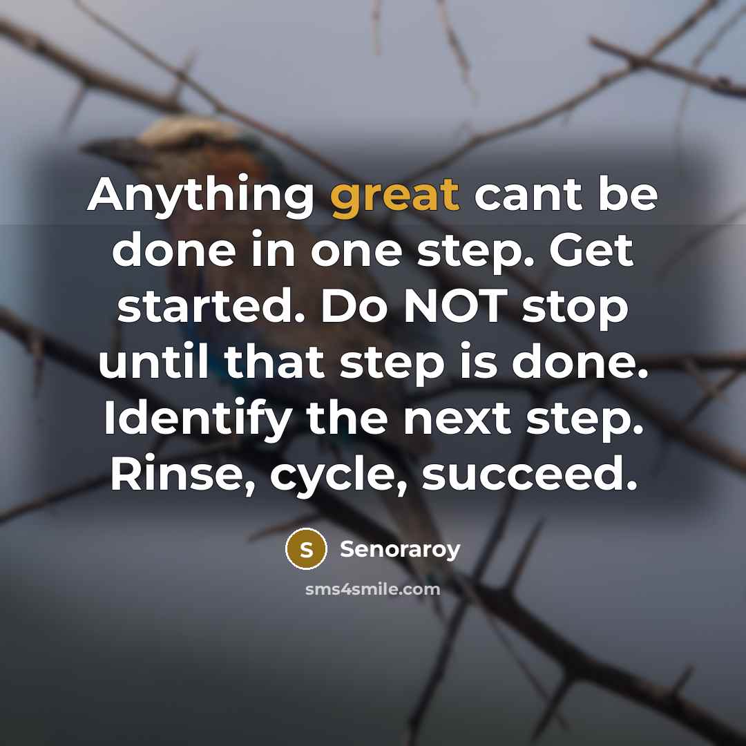 “Anything great cant be done in one step. Get started. Do NOT stop until that step is done. Identify the next step. Rinse, cycle, succeed.” quote by Senoraroy