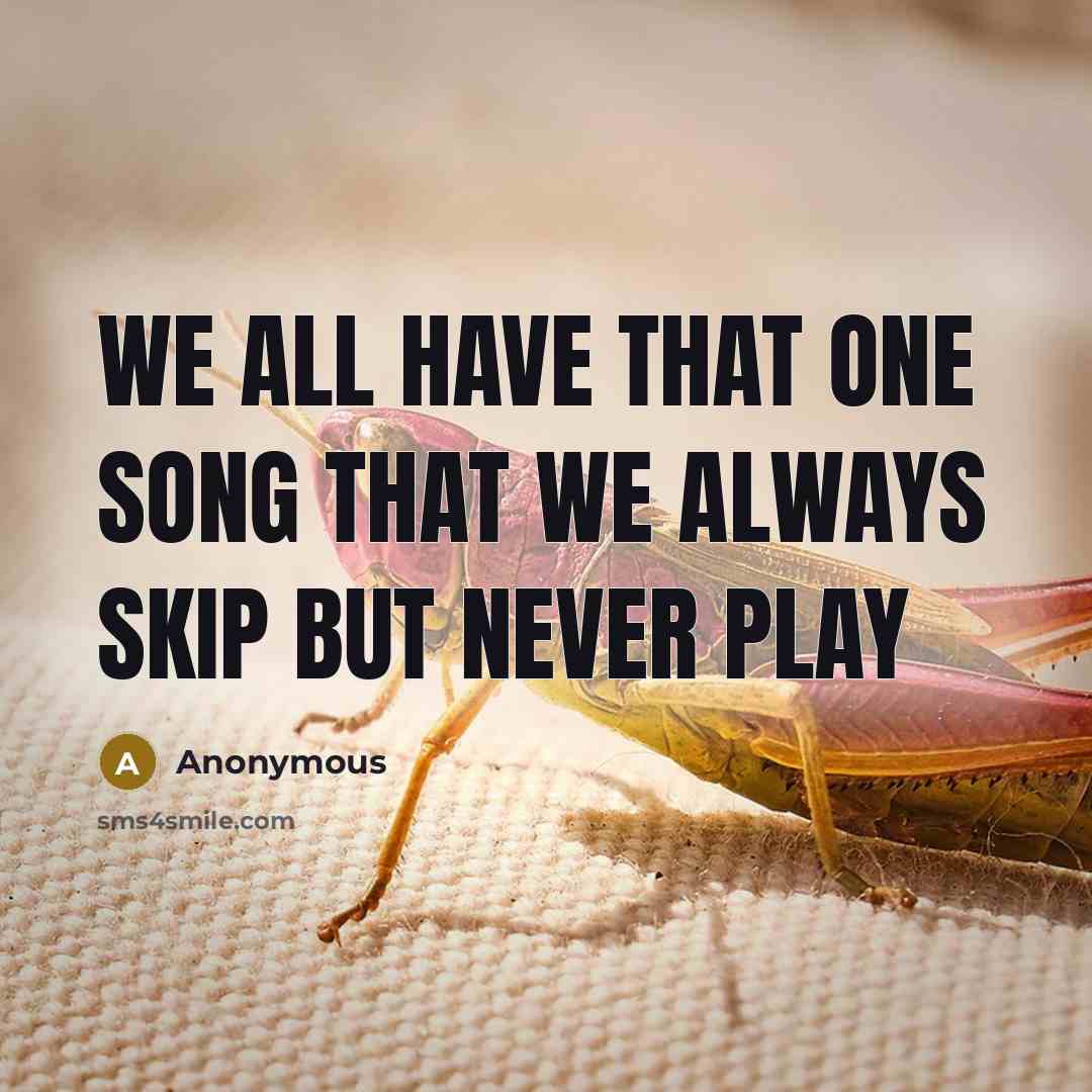 “We all have that one song that we always skip but never play” quote by Anonymous