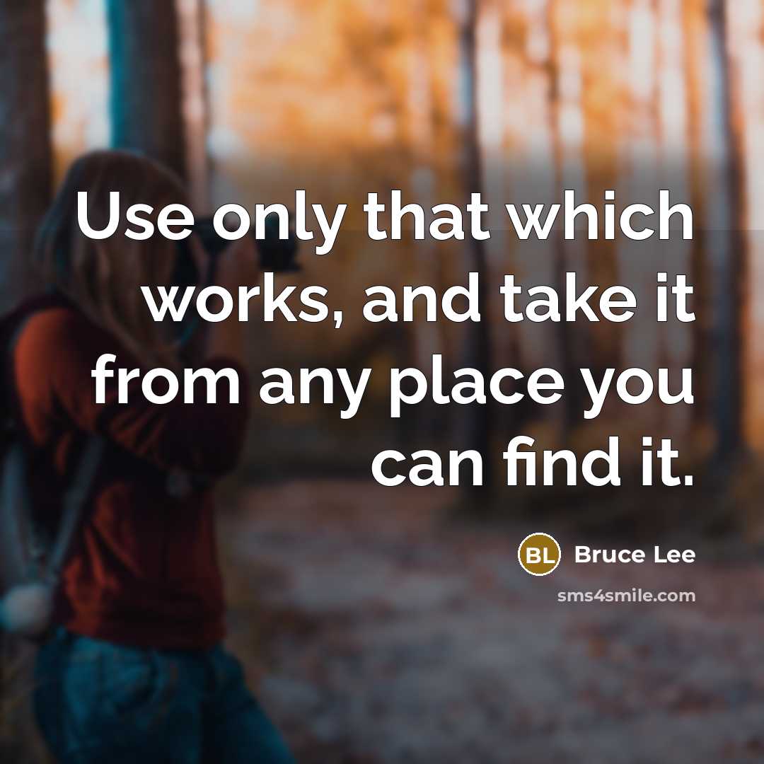 “Use only that which works, and take it from any place you can find it.” quote by Bruce Lee