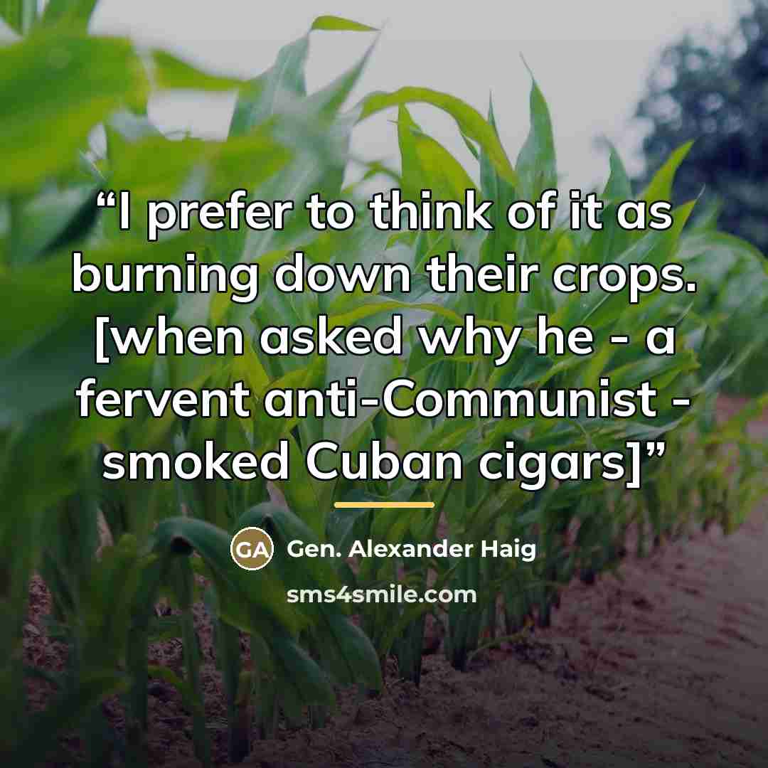 “I prefer to think of it as burning down their crops. [when asked why he - a fervent anti-Communist - smoked Cuban cigars]” quote by Anonymous