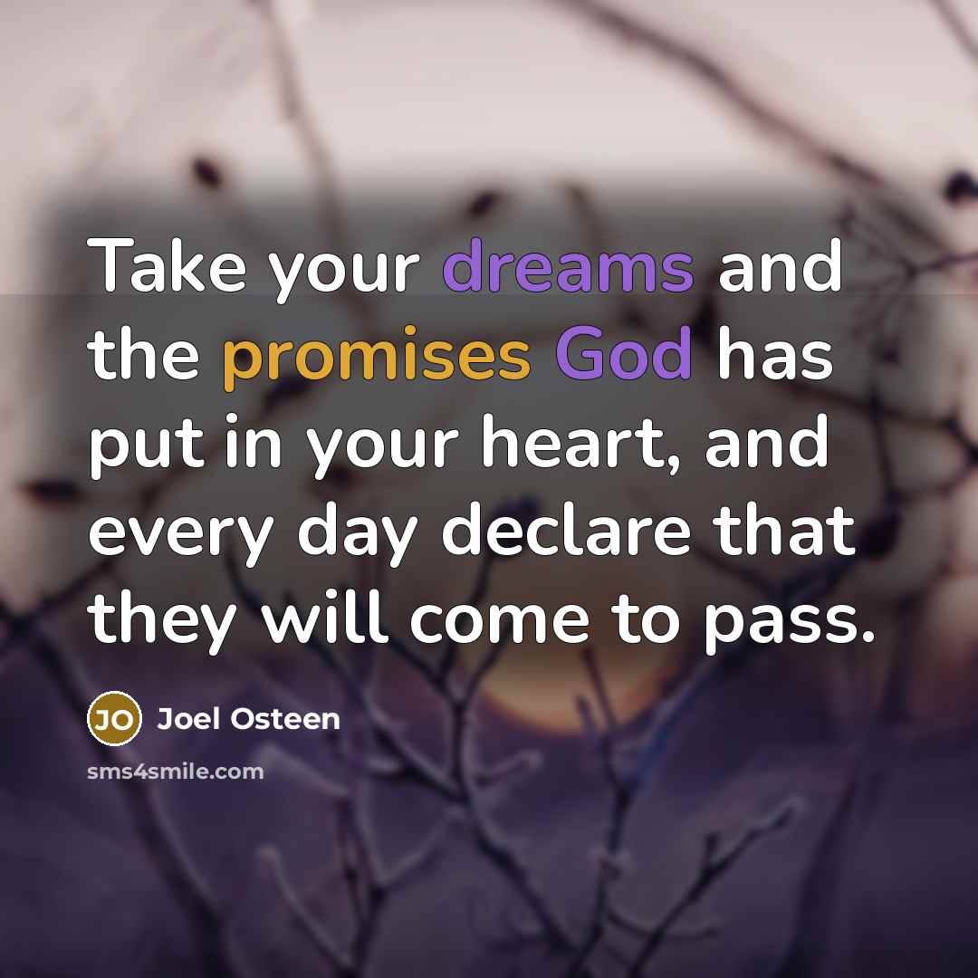 “Take your dreams and the promises God has put in your heart, and every day declare that they will come to pass.” quote by Joel Osteen
