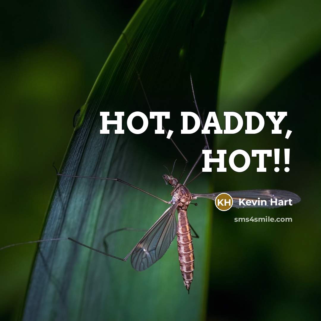 “HOT, DADDY, HOT!!” quote by Kevin Hart