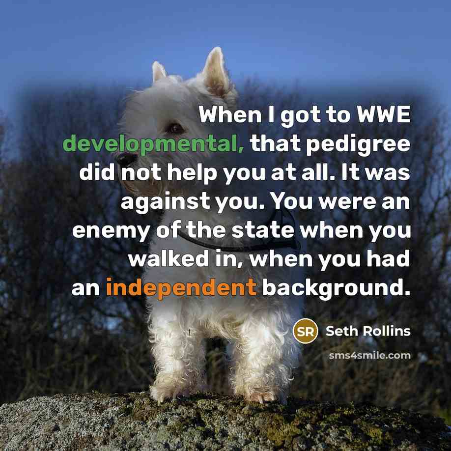 “When I got to WWE developmental, that pedigree did not help you at all. It was against you. You were an enemy of the state when you walked in, when you had an independent background.” quote by Seth Rollins
