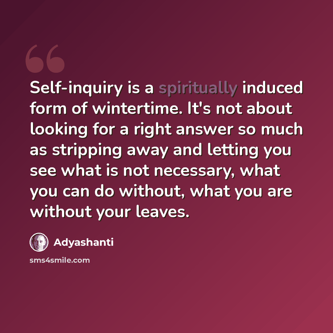 “Self-inquiry is a spiritually induced form of wintertime. It's not about looking for a right answer so much as stripping away and letting you see what is not necessary, what you can do without, what you are without your leaves.” quote by Adyashanti