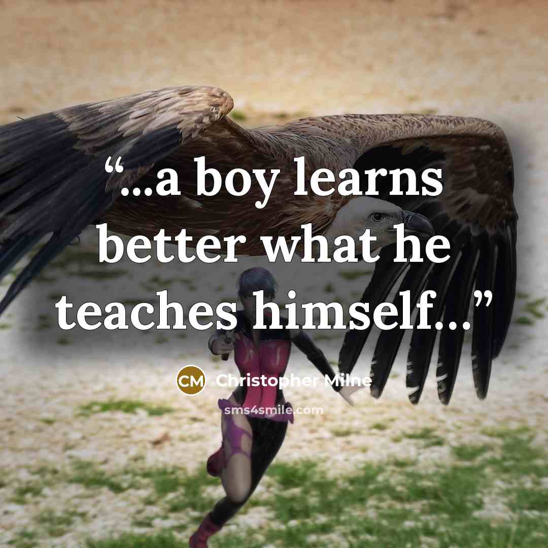 “...a boy learns better what he teaches himself…” quote by Christopher Milne