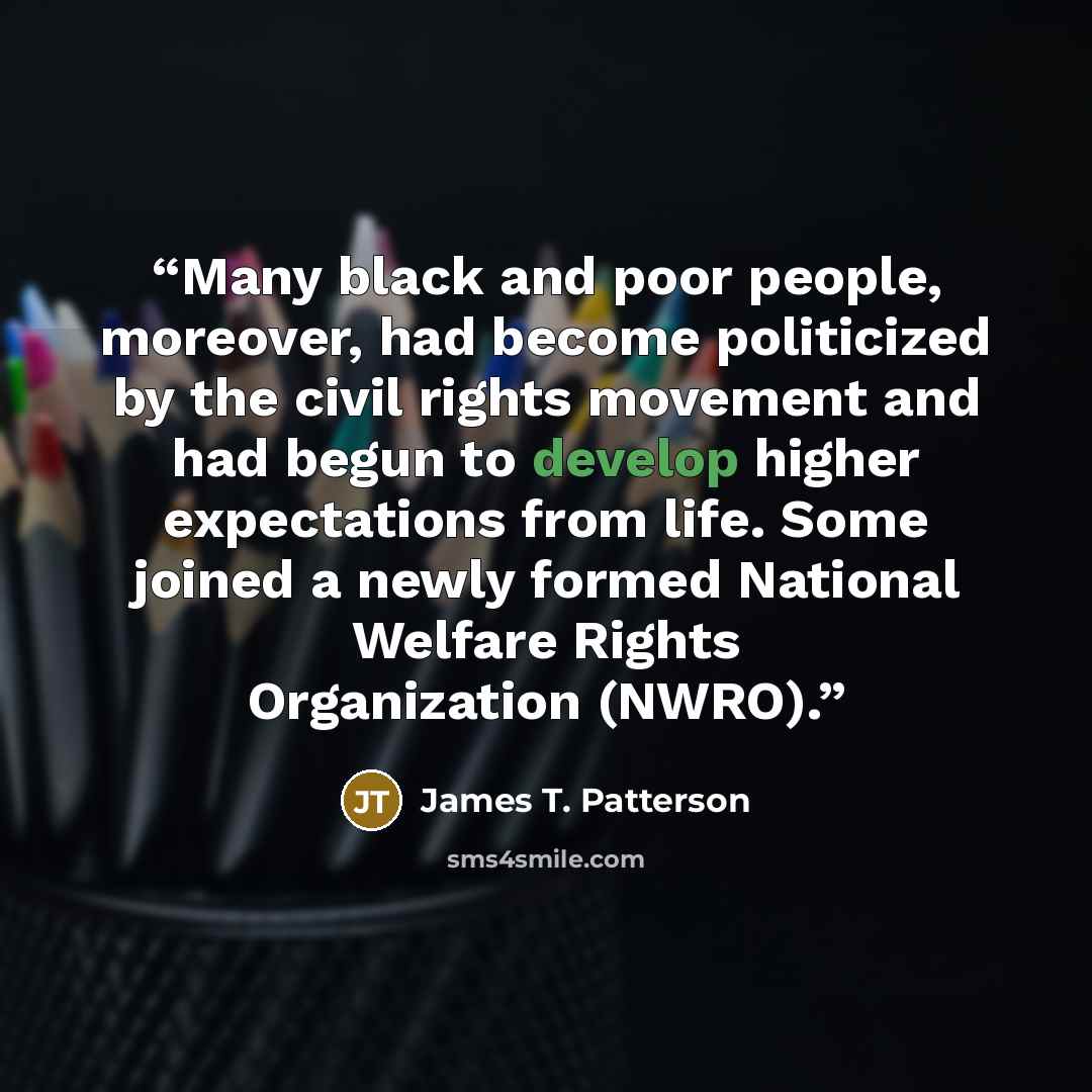 “Many black and poor people, moreover, had become politicized by the civil rights movement and had begun to develop higher expectations from life. Some joined a newly formed National Welfare Rights Organization (NWRO).” quote by James T. Patterson