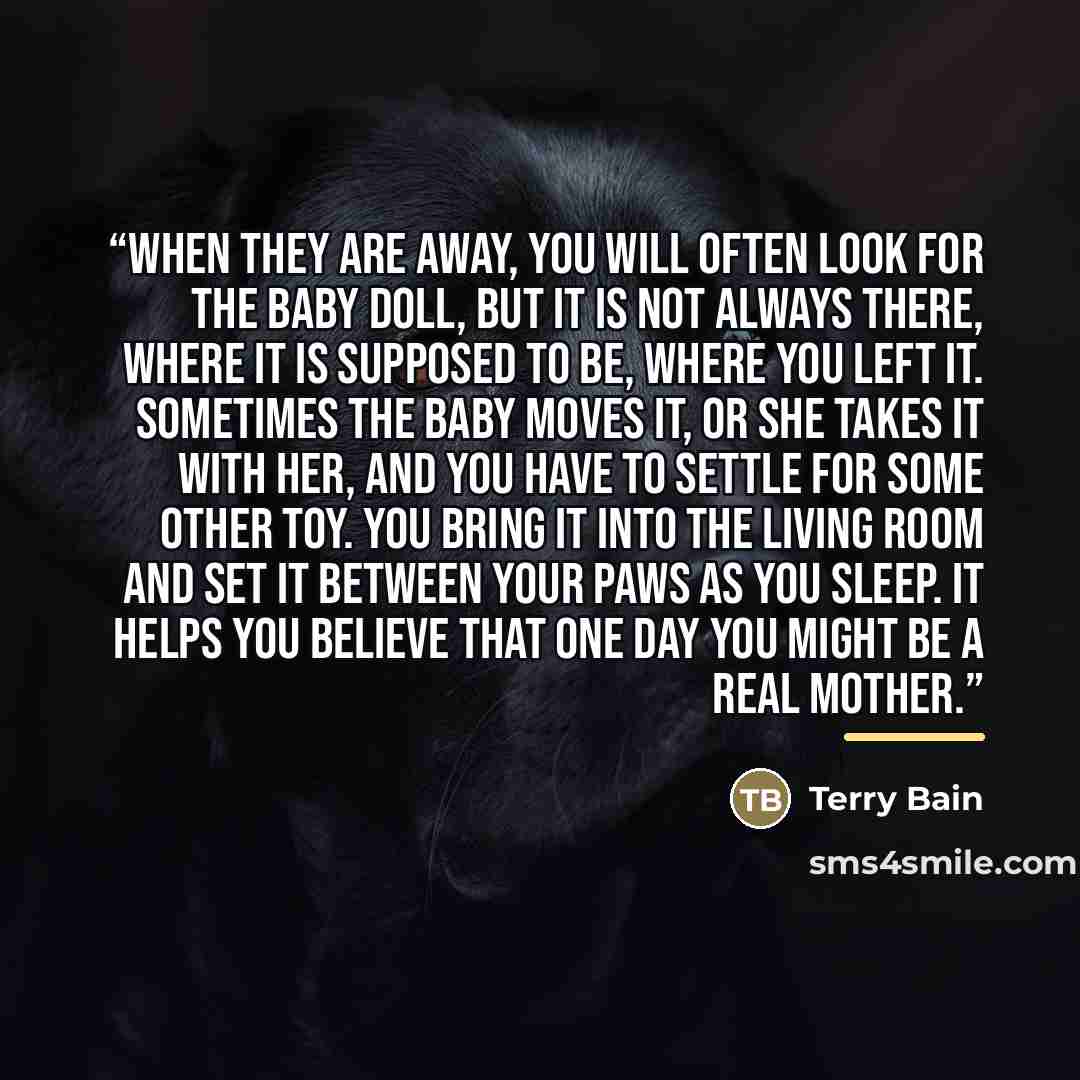 “When they are away, you will often look for the baby doll, but it is not always there, where it is supposed to be, where you left it. Sometimes The Baby moves it, or she takes it with her, and you have to settle for some other toy. You bring it into the living room and set it between your paws as…” quote by Terry Bain