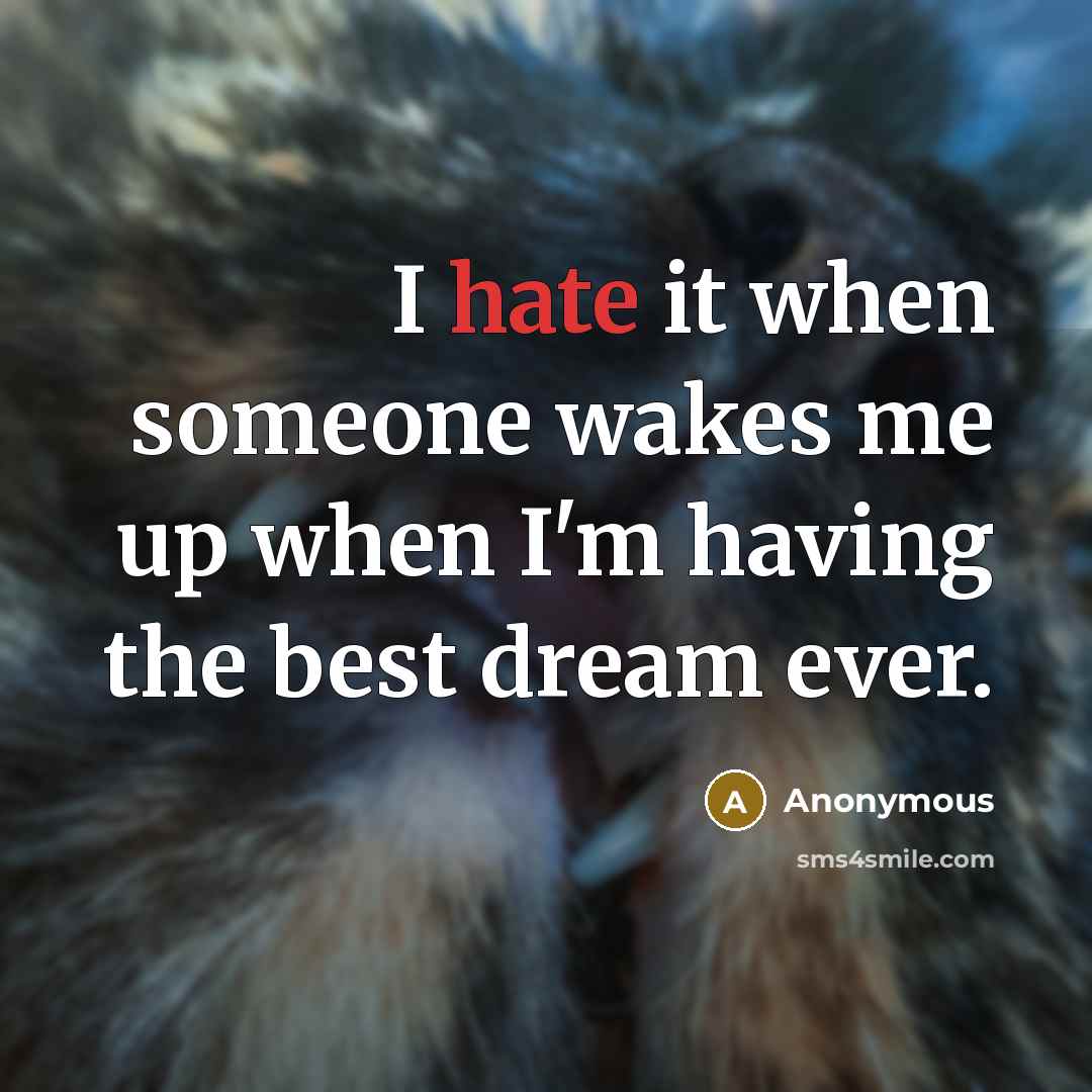 “I hate it when someone wakes me up when I'm having the best dream ever.” quote by Anonymous