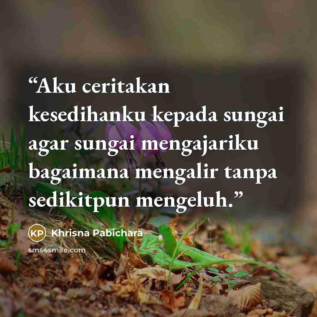 “Aku ceritakan kesedihanku kepada sungai agar sungai mengajariku bagaimana mengalir tanpa sedikitpun mengeluh.” quote by Khrisna Pabichara
