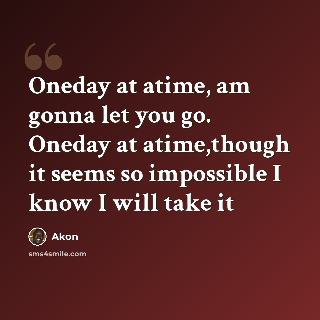 “Oneday at atime, am gonna let you go. Oneday at atime,though it seems so impossible I know I will take it” quote by Akon