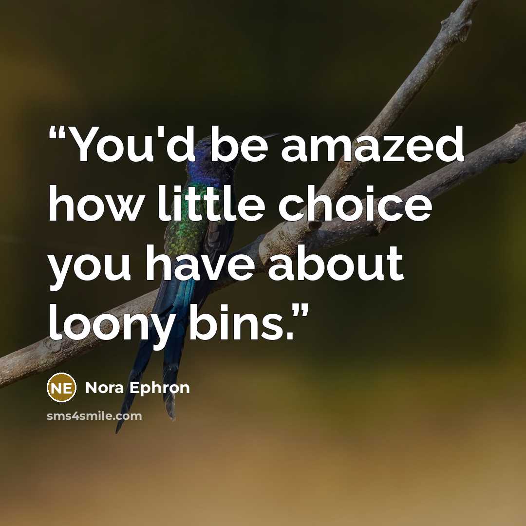 “You'd be amazed how little choice you have about loony bins.” quote by Nora Ephron