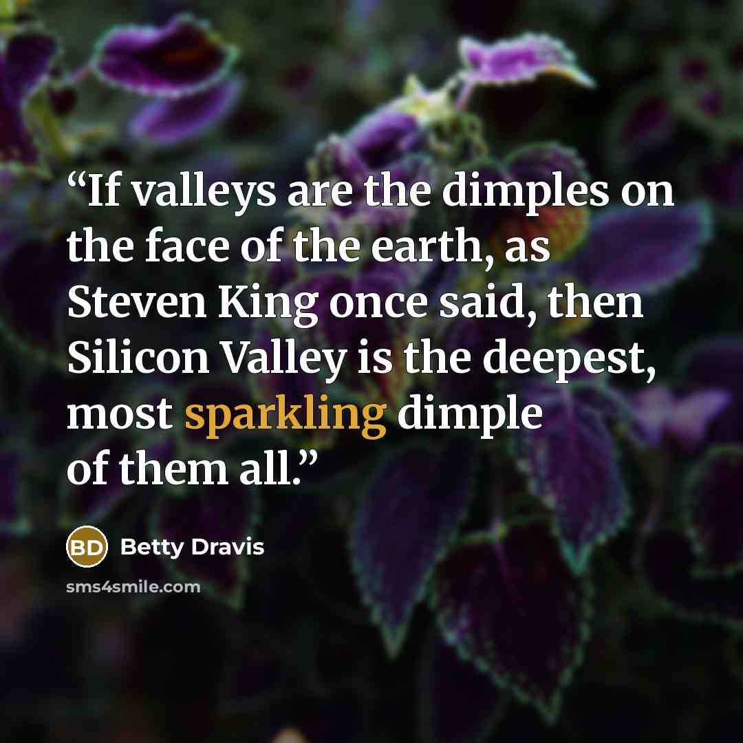 “If valleys are the dimples on the face of the earth, as Steven King once said, then Silicon Valley is the deepest, most sparkling dimple of them all.” quote by Betty Dravis