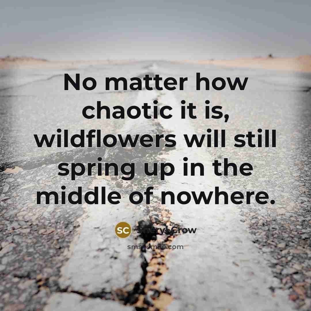 “No matter how chaotic it is, wildflowers will still spring up in the middle of nowhere.” quote by Sheryl Crow
