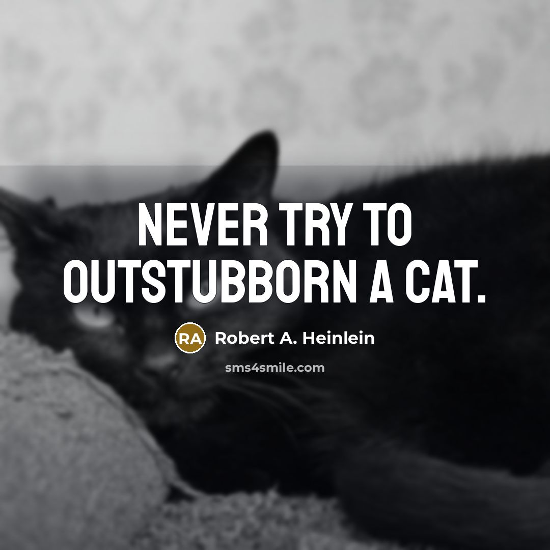 “Never try to outstubborn a cat.” quote by Robert A. Heinlein