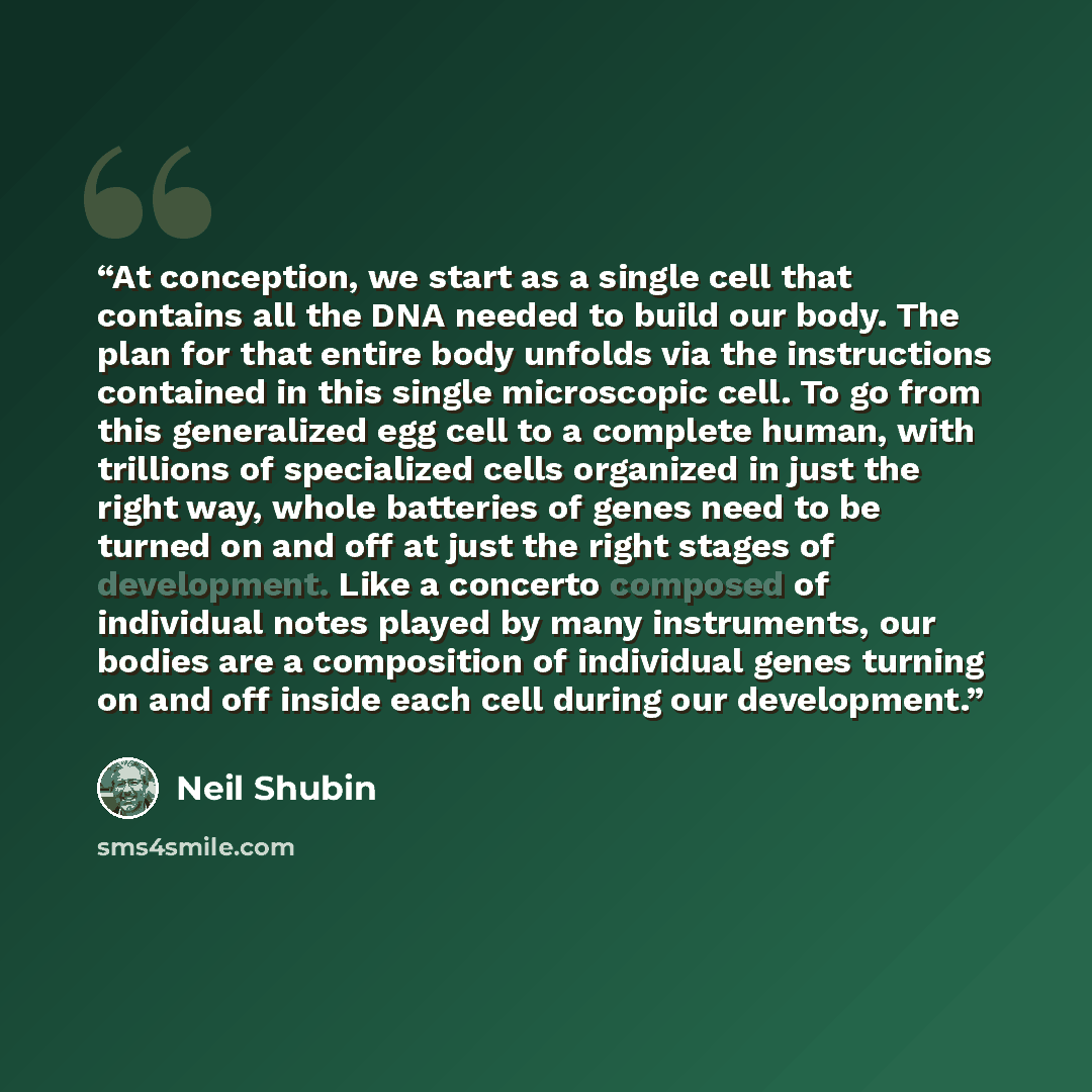 “At conception, we start as a single cell that contains all the DNA needed to build our body. The plan for that entire body unfolds via the instructions contained in this single microscopic cell. To go from this generalized egg cell to a complete human, with trillions of specialized cells organized…” quote by Neil Shubin