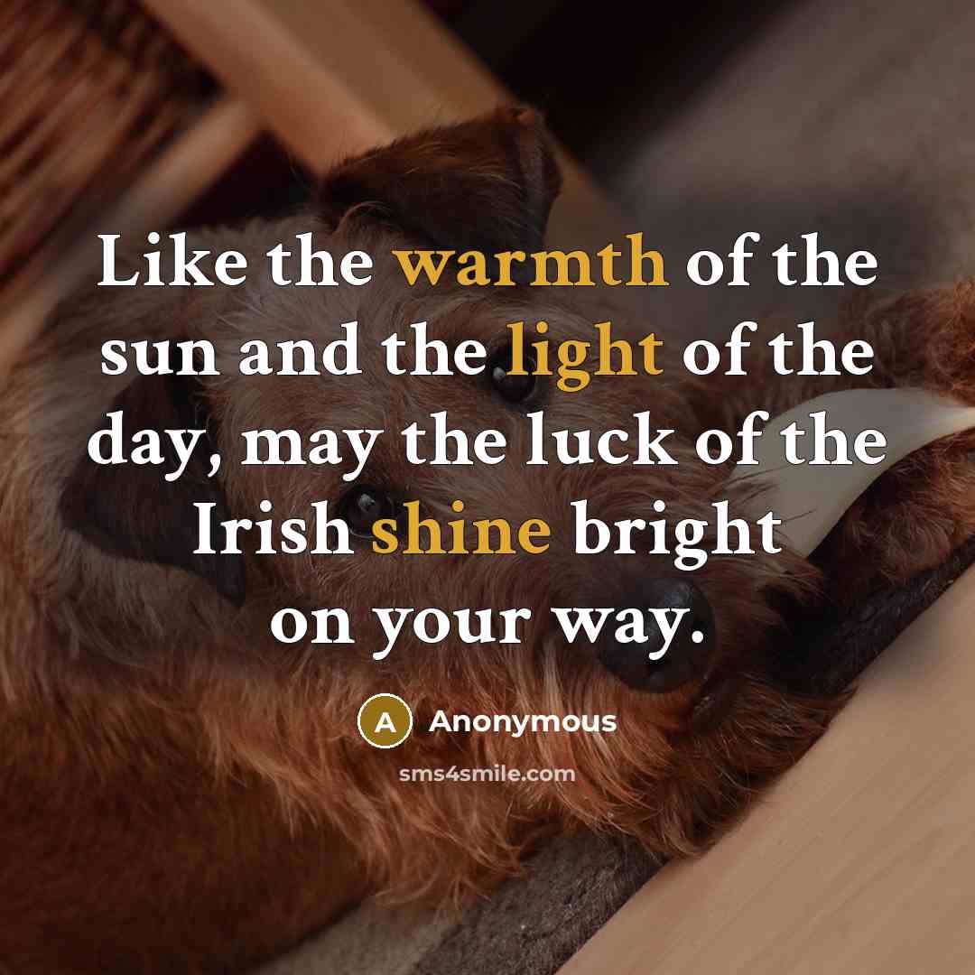 “Like the warmth of the sun and the light of the day, may the luck of the Irish shine bright on your way.” quote by Anonymous