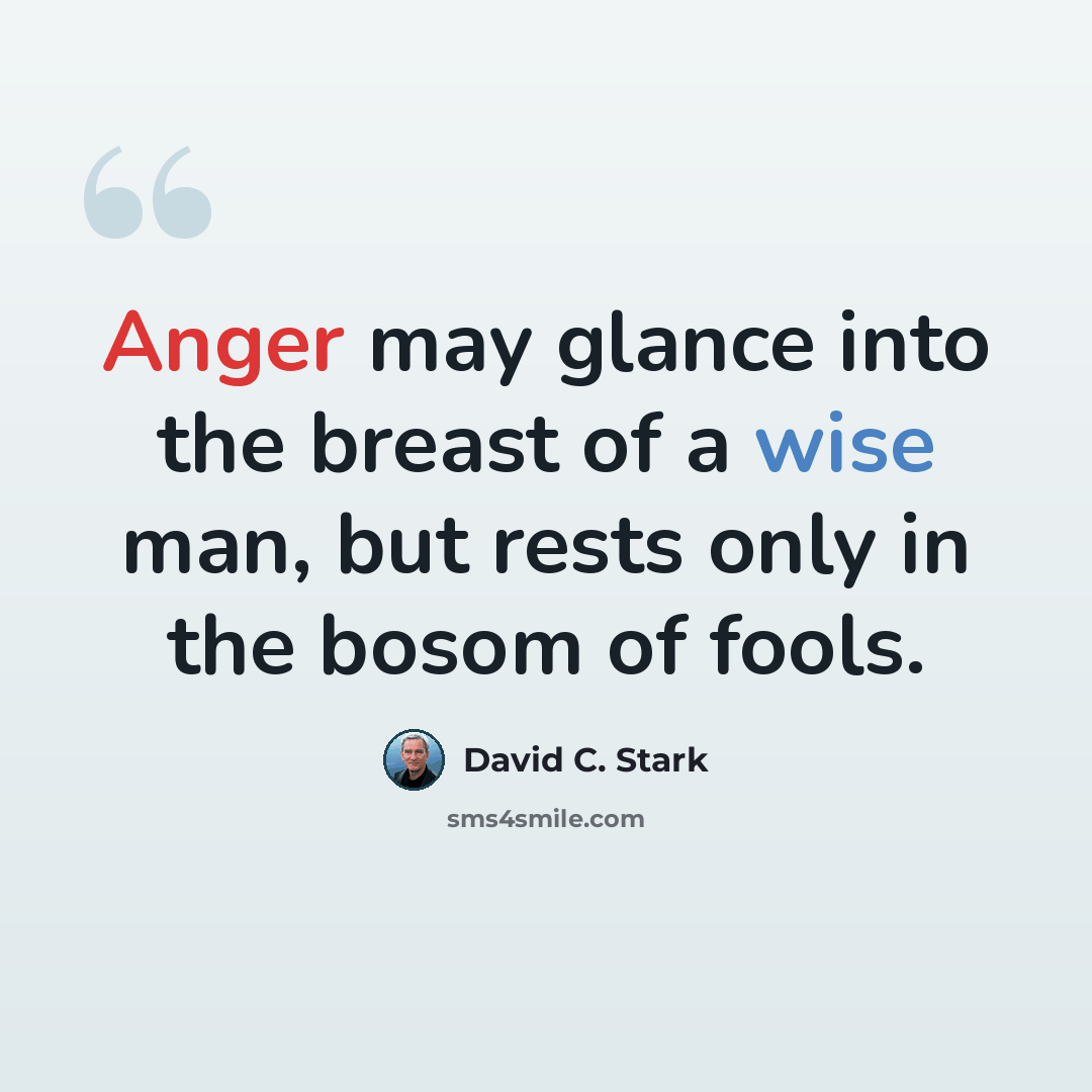 “Anger may glance into the breast of a wise man, but rests only in the bosom of fools.” quote by David C. Stark