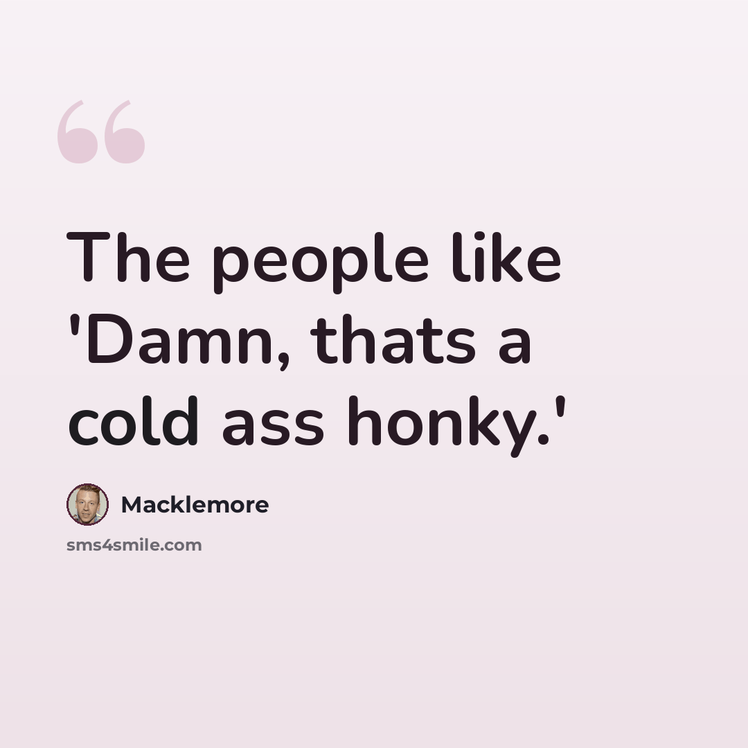 “The people like 'Damn, thats a cold ass honky.'” quote by Macklemore