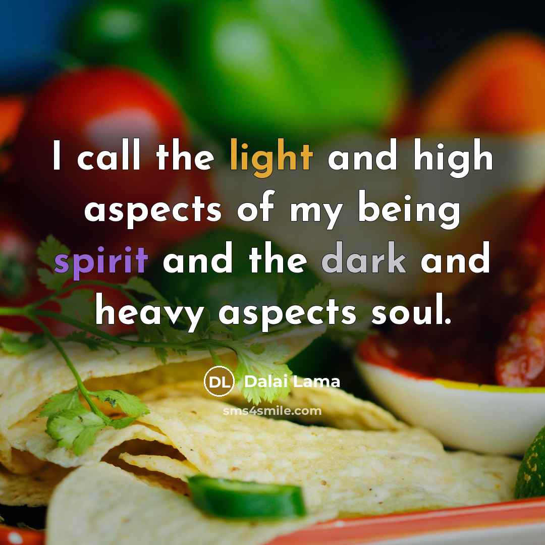 “I call the light and high aspects of my being spirit and the dark and heavy aspects soul.” quote by Dalai Lama