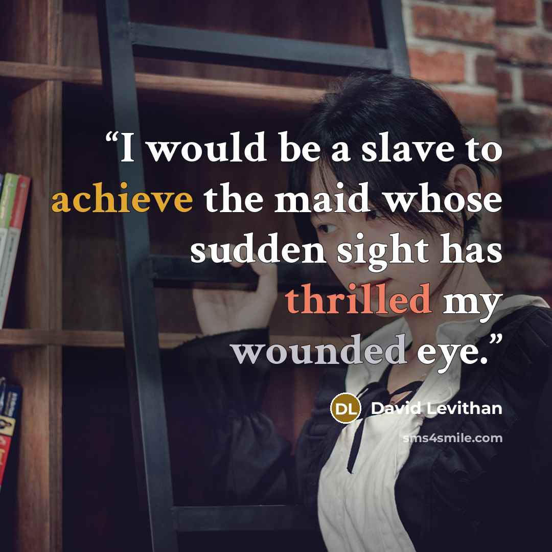 “I would be a slave to achieve the maid whose sudden sight has thrilled my wounded eye.” quote by David Levithan