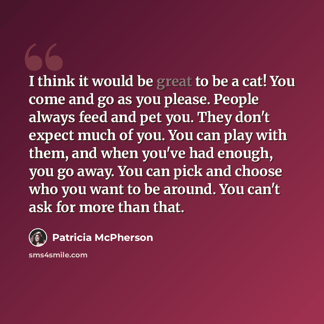 “I think it would be great to be a cat! You come and go as you please. People always feed and pet you. They don't expect much of you. You can play with them, and when you've had enough, you go away. You can pick and choose who you want to be around. You can't ask for more than that.” quote by Patricia McPherson
