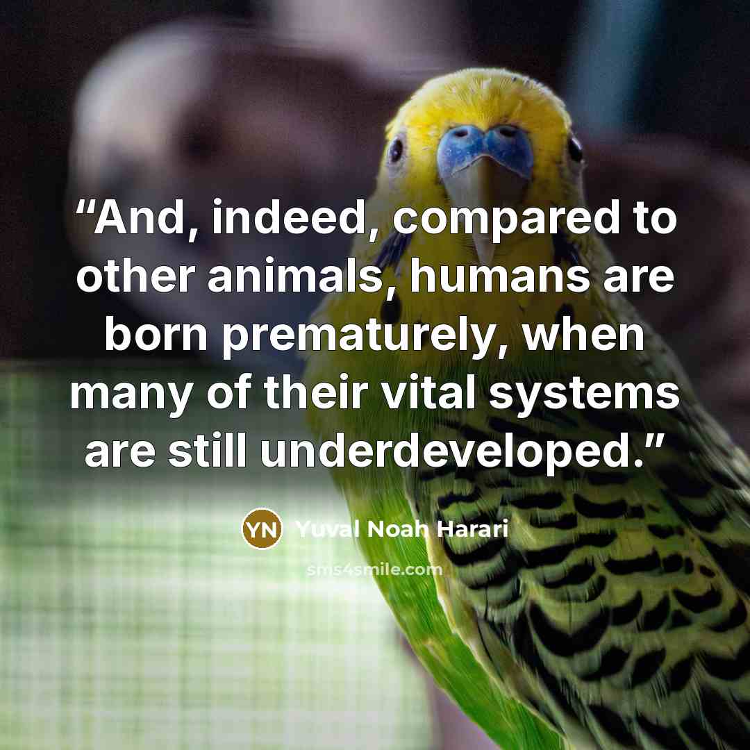 “And, indeed, compared to other animals, humans are born prematurely, when many of their vital systems are still underdeveloped.” quote by Yuval Noah Harari