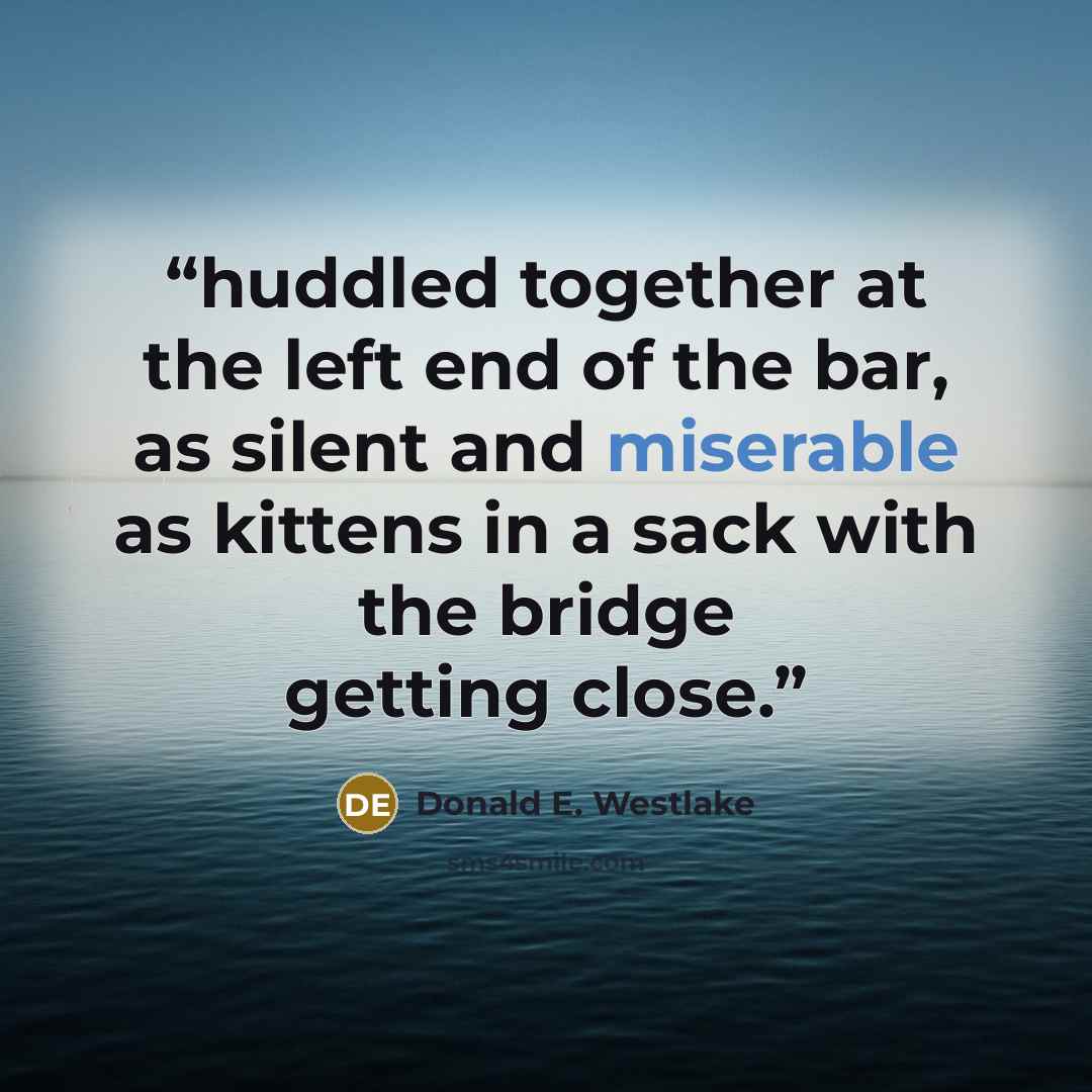 “huddled together at the left end of the bar, as silent and miserable as kittens in a sack with the bridge getting close.” quote by Donald E. Westlake