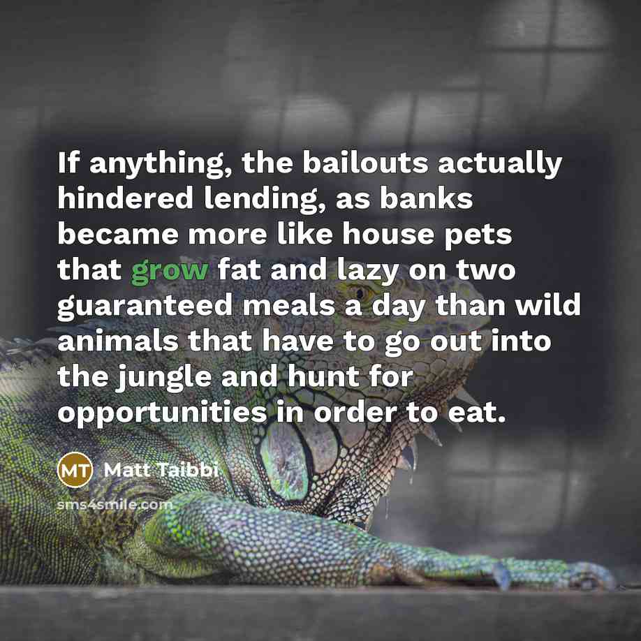 “If anything, the bailouts actually hindered lending, as banks became more like house pets that grow fat and lazy on two guaranteed meals a day than wild animals that have to go out into the jungle and hunt for opportunities in order to eat.” quote by Matt Taibbi