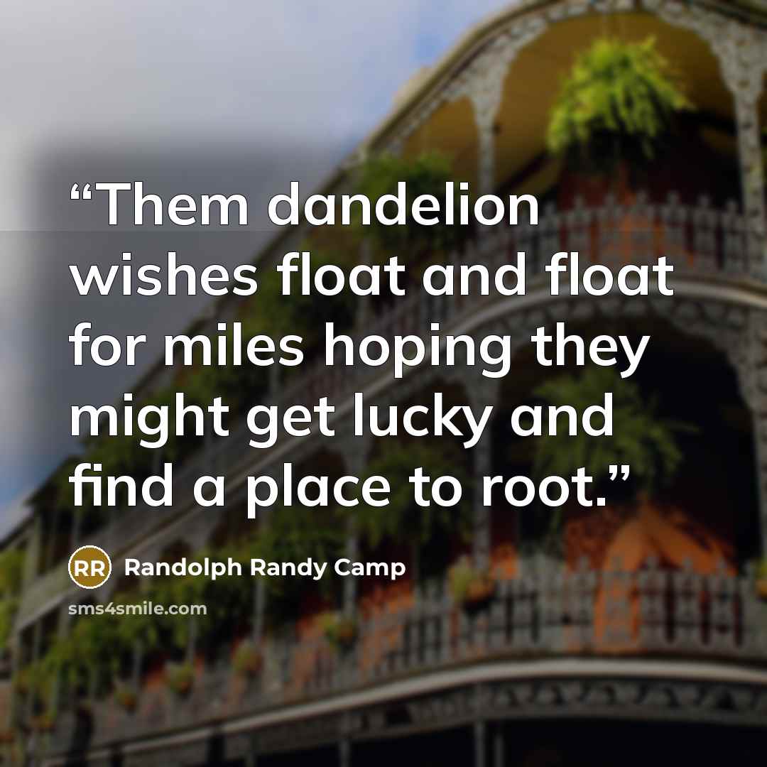 “Them dandelion wishes float and float for miles hoping they might get lucky and find a place to root.” quote by Randolph Randy Camp