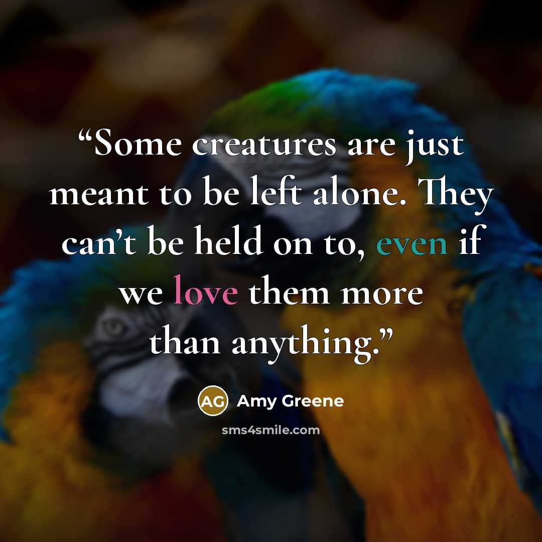 “Some creatures are just meant to be left alone. They can’t be held on to, even if we love them more than anything.” quote by Amy Greene