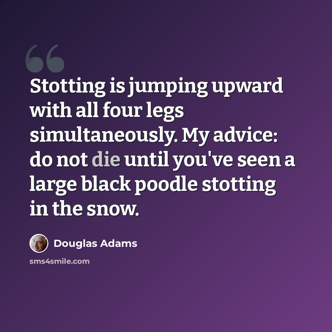 “Stotting is jumping upward with all four legs simultaneously. My advice: do not die until you've seen a large black poodle stotting in the snow.” quote by Douglas Adams