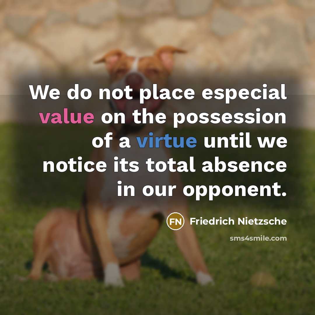 “We do not place especial value on the possession of a virtue until we notice its total absence in our opponent.” quote by Friedrich Nietzsche