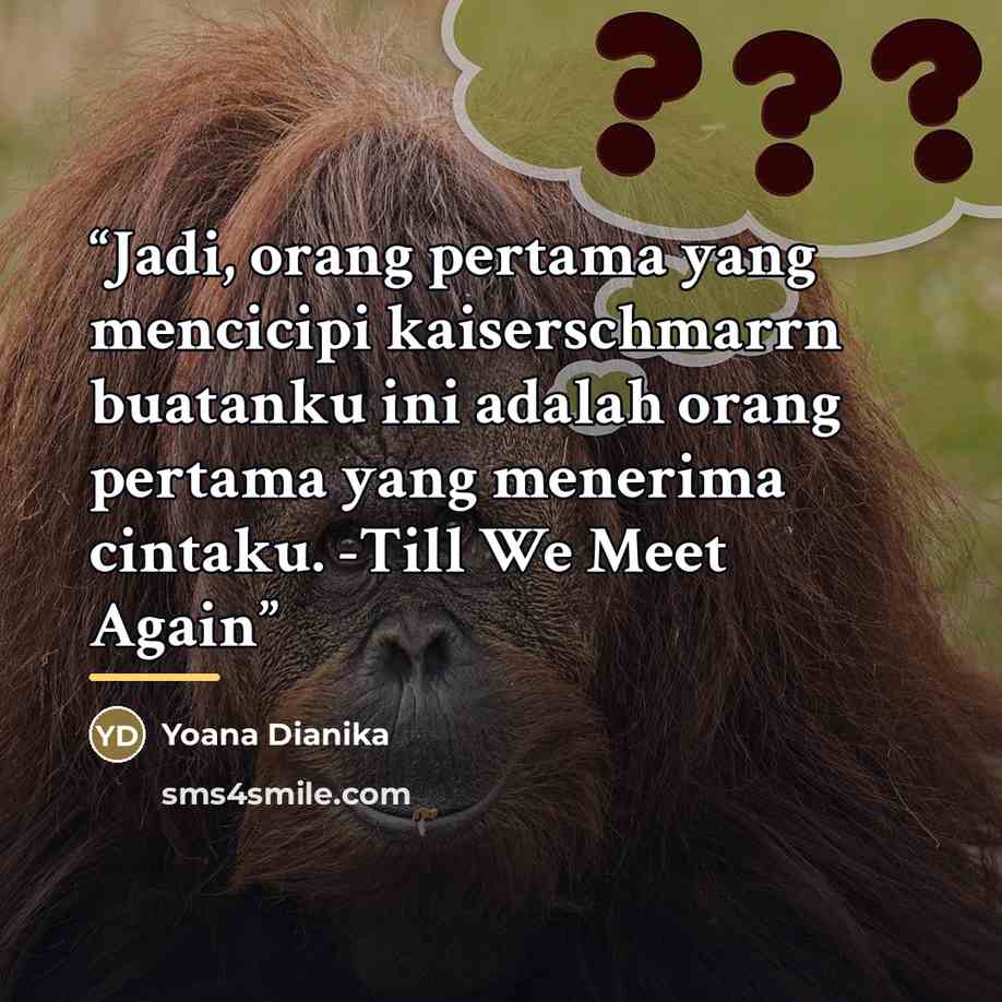 “Jadi, orang pertama yang mencicipi kaiserschmarrn buatanku ini adalah orang pertama yang menerima cintaku. -Till We Meet Again” quote by Yoana Dianika