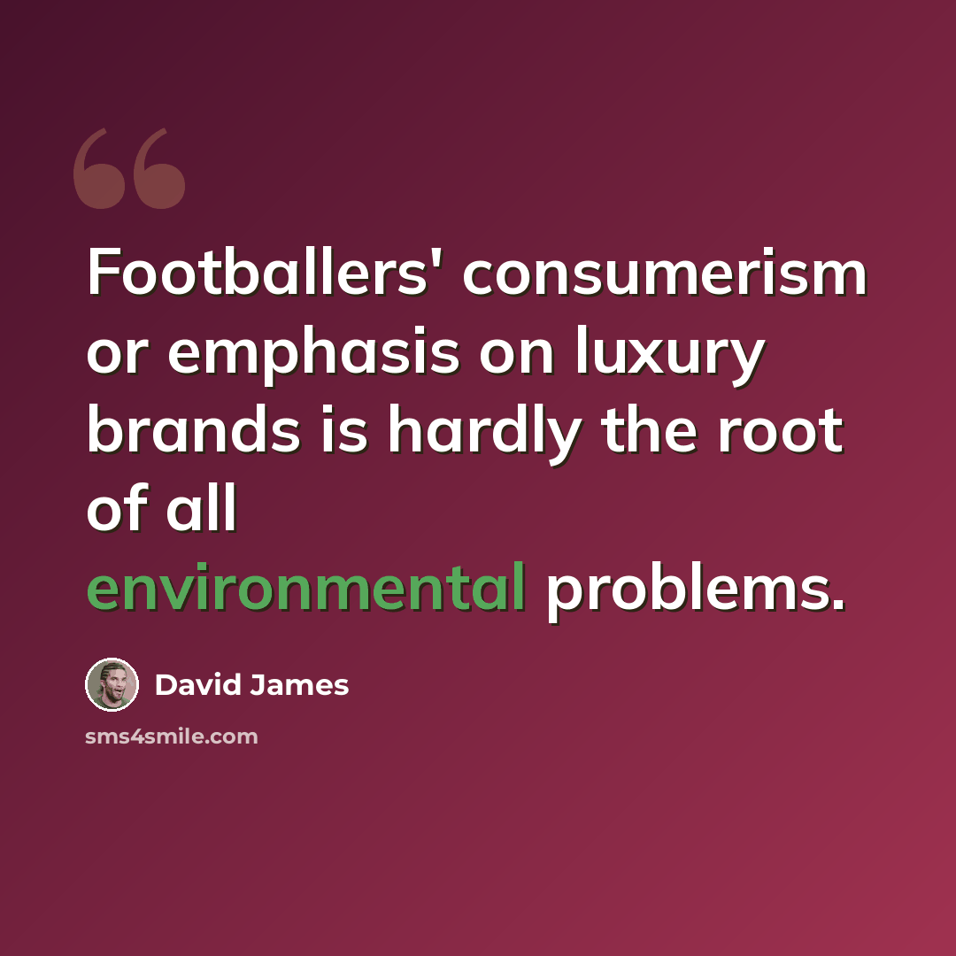 “Footballers' consumerism or emphasis on luxury brands is hardly the root of all environmental problems.” quote by David James