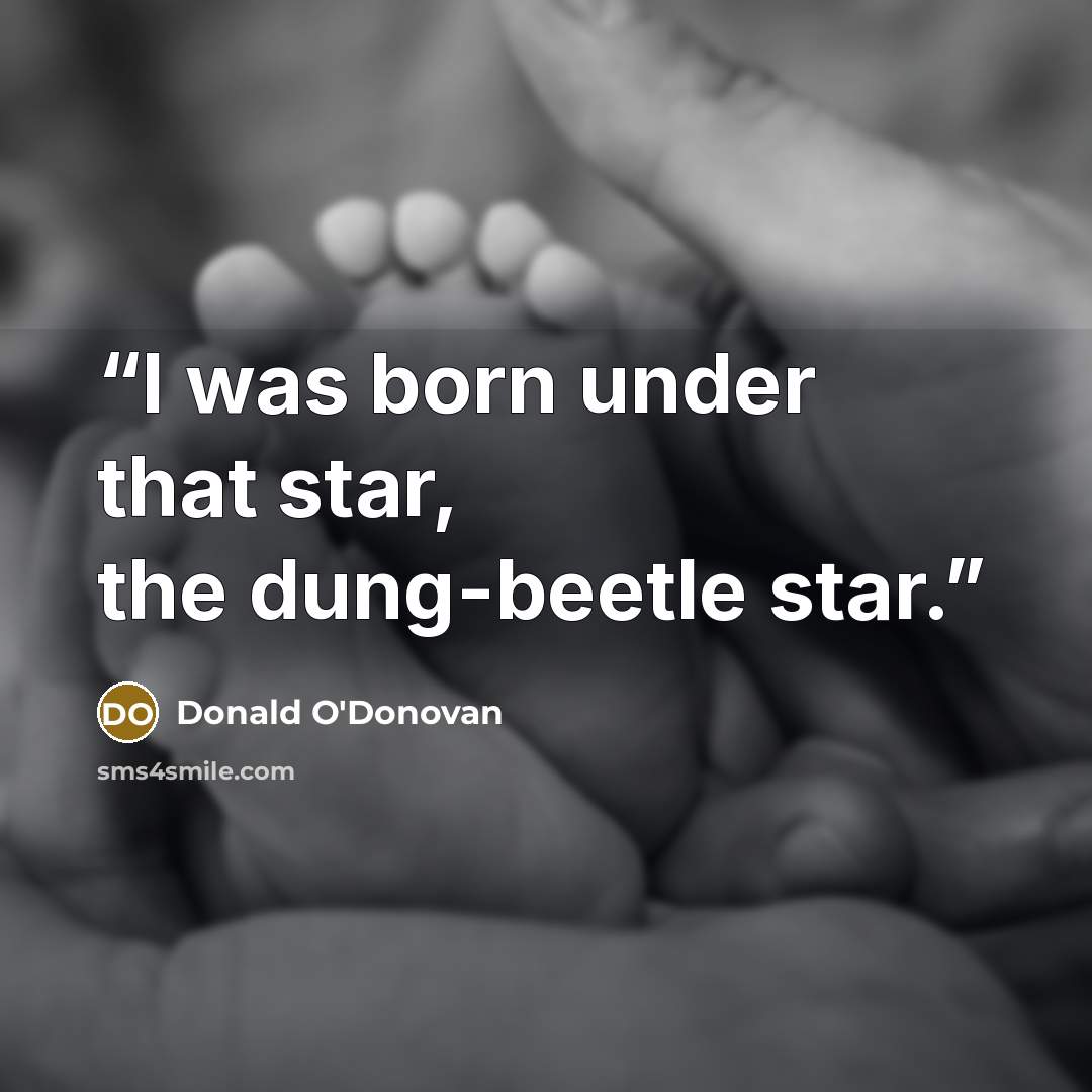 “I was born under that star, the dung-beetle star.” quote by Donald O'Donovan