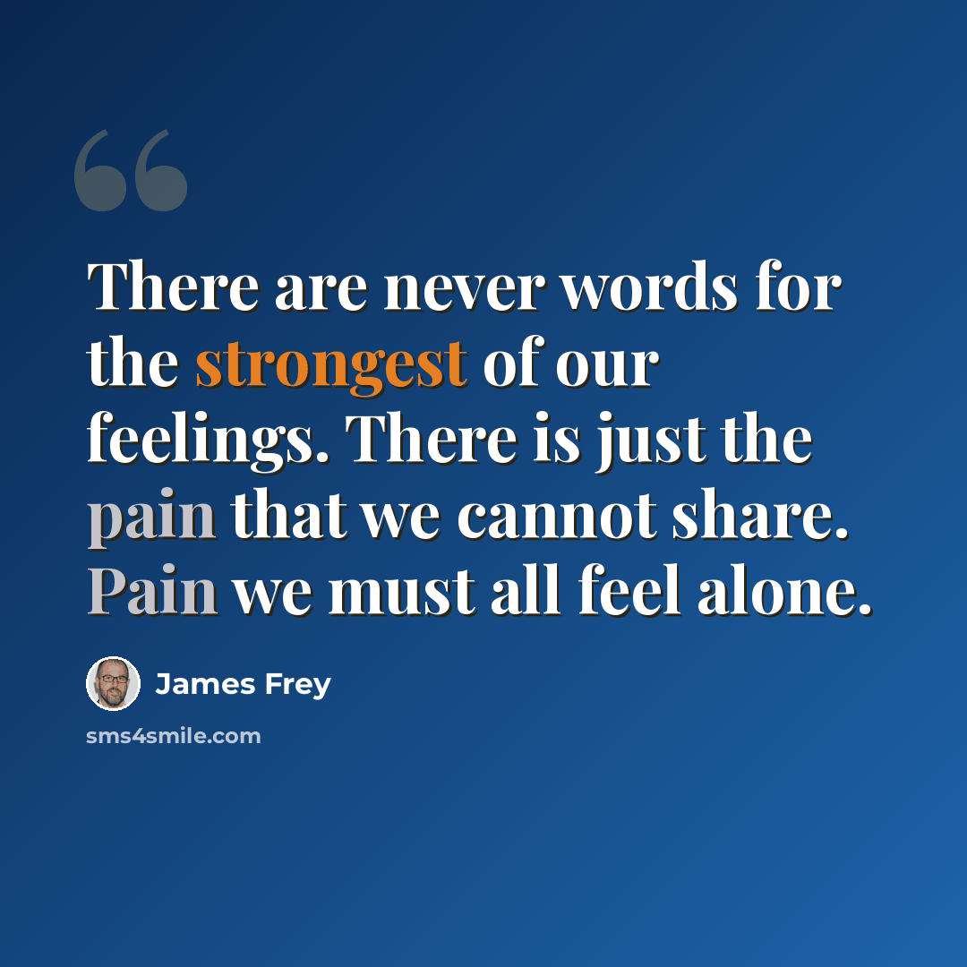 “There are never words for the strongest of our feelings. There is just the pain that we cannot share. Pain we must all feel alone.” quote by James Frey