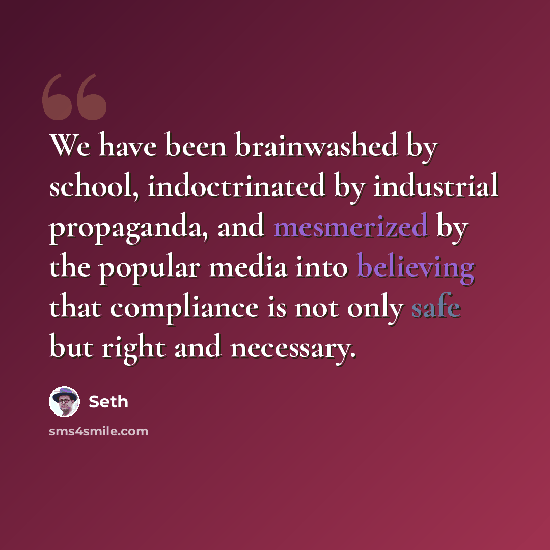 “We have been brainwashed by school, indoctrinated by industrial propaganda, and mesmerized by the popular media into believing that compliance is not only safe but right and necessary.” quote by Seth