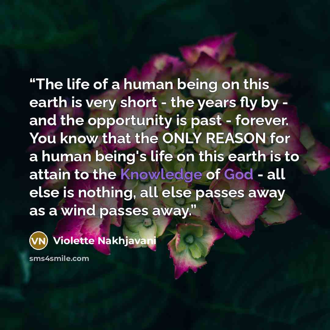 “The life of a human being on this earth is very short - the years fly by - and the opportunity is past - forever. You know that the ONLY REASON for a human being's life on this earth is to attain to the Knowledge of God - all else is nothing, all else passes away as a wind passes away.” quote by Violette Nakhjavani