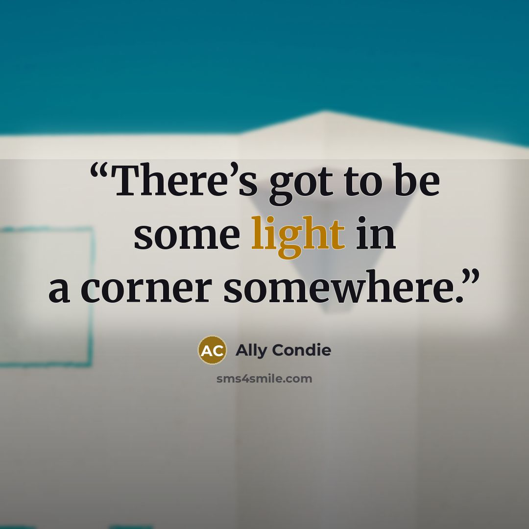“There’s got to be some light in a corner somewhere.” quote by Ally Condie
